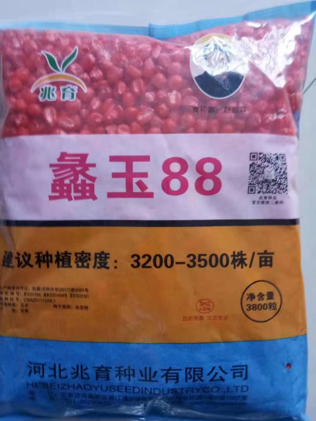 蠡玉88高产稳产玉米种